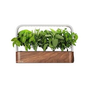 EDN SmallGarden with 8 Mint SeedPods, Indoor Grow Smart Garden Starter Kit